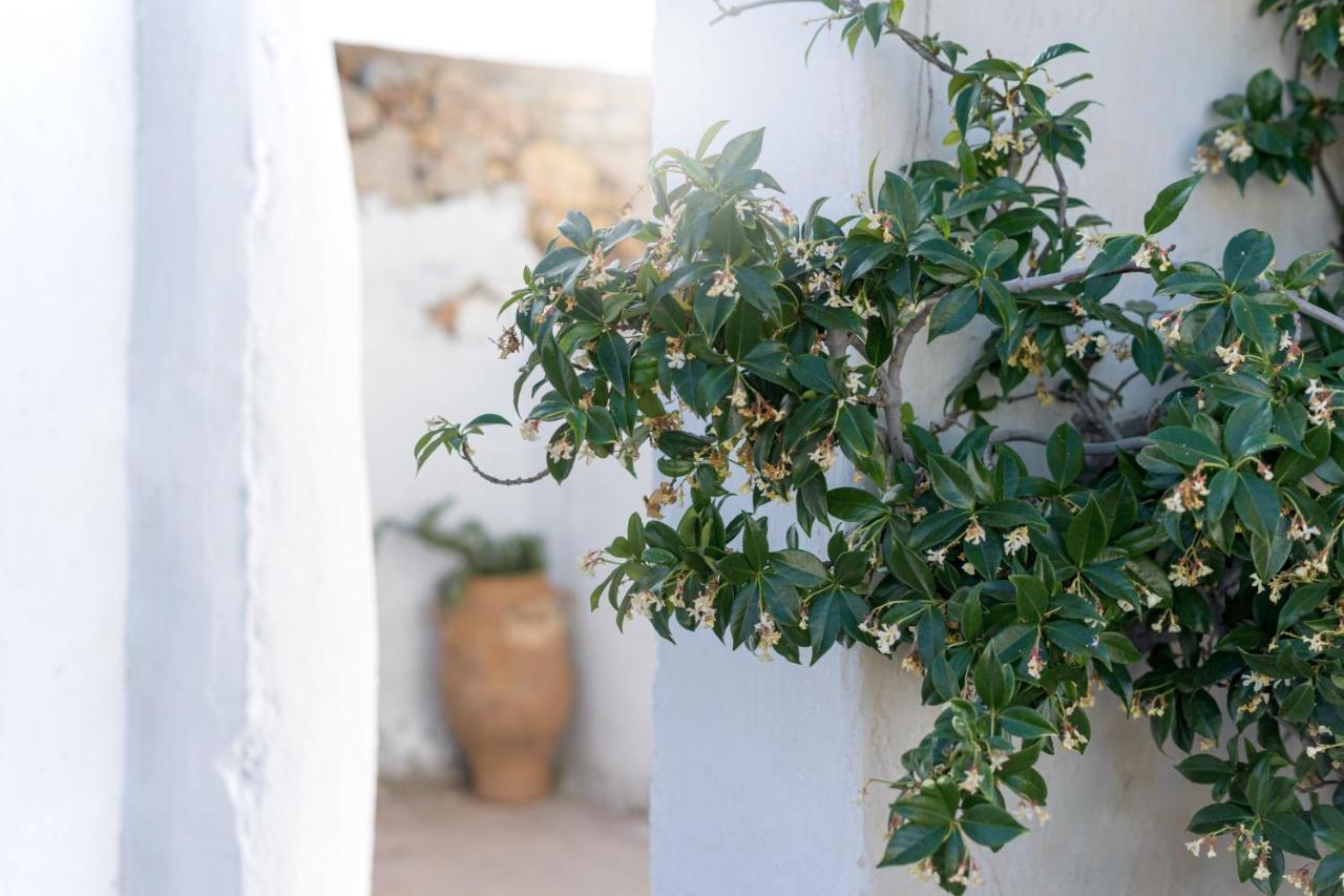 Traditional Cretan House Lithostrati Village 度假居