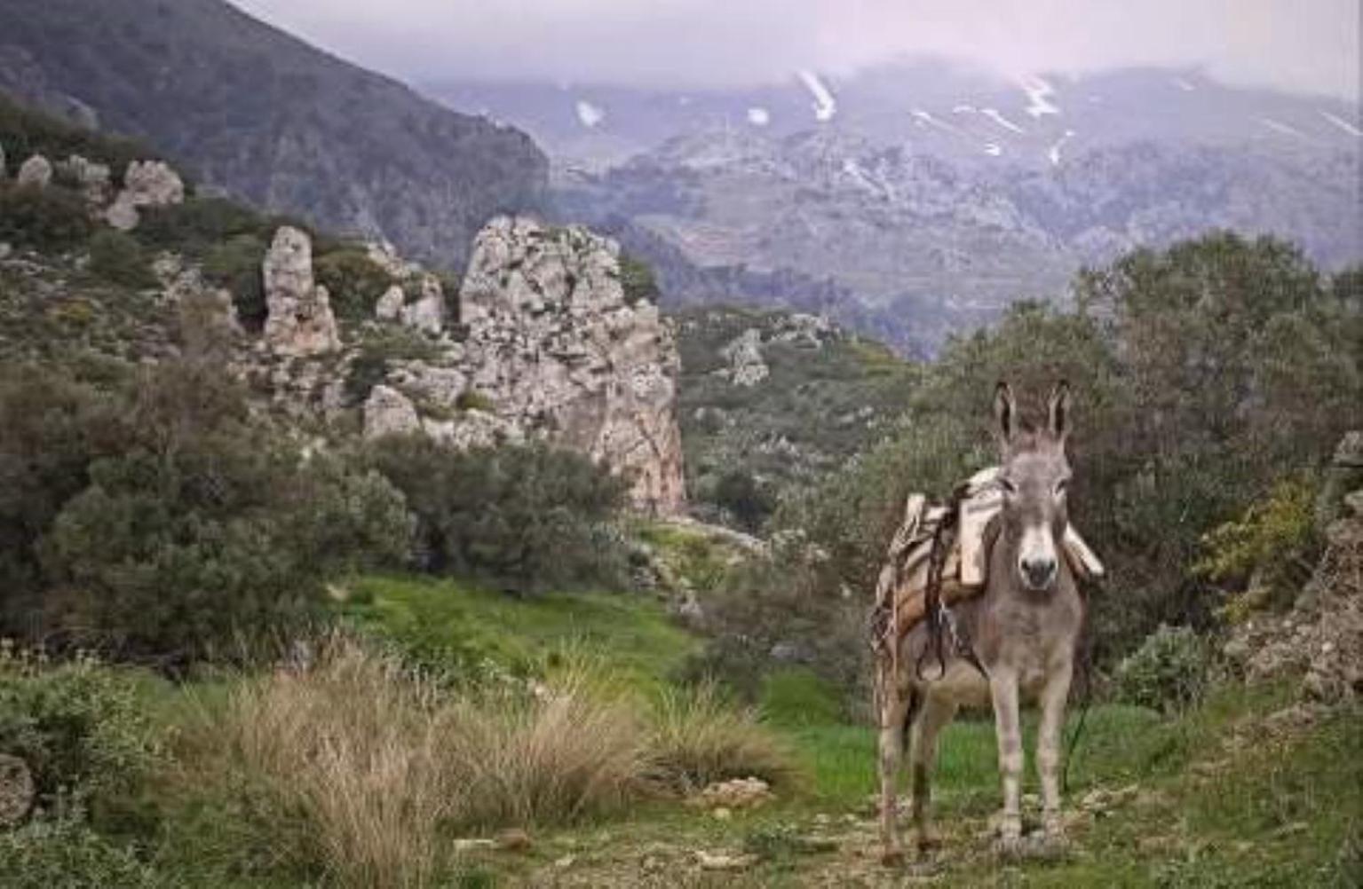 Traditional Cretan House Lithostrati Village *