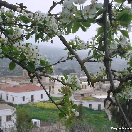 Traditional Cretan House Lithostrati Karidi Village Exterior photo