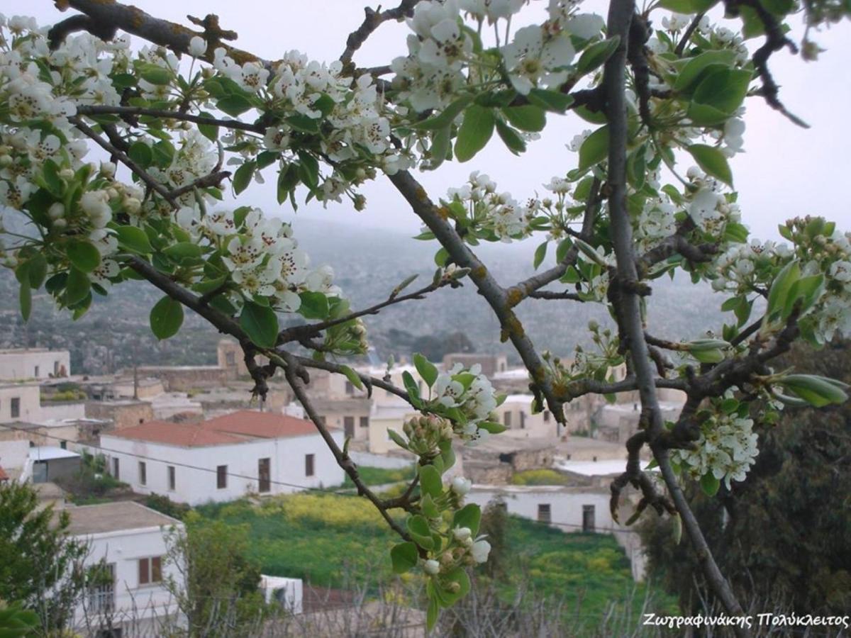 Traditional Cretan House Lithostrati Village Holiday home *