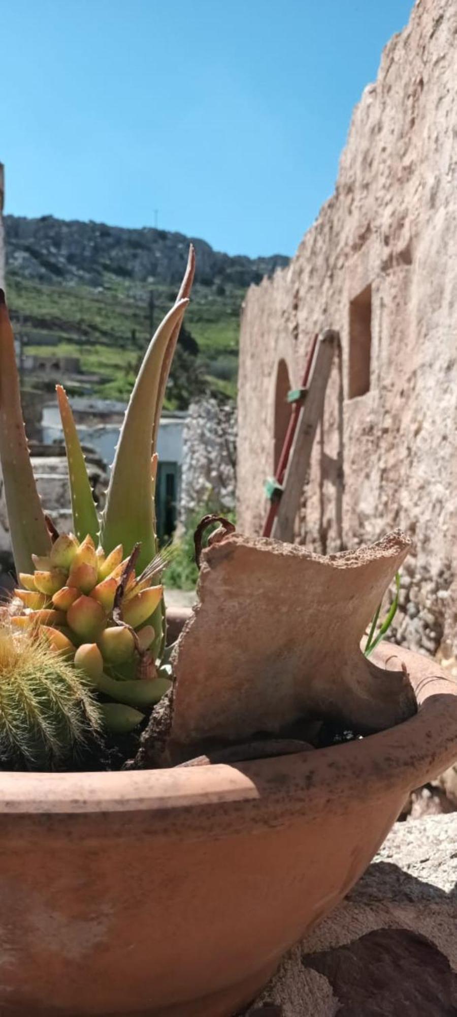 Holiday home Traditional Cretan House Lithostrati Village *